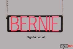 BERNIE sign, featuring LED lights that look like neon BERNIE signs