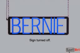 BERNIE sign, featuring LED lights that look like neon BERNIE signs