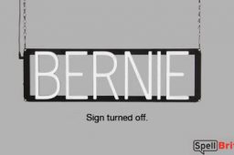 BERNIE sign, featuring LED lights that look like neon BERNIE signs