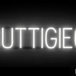 BUTTIGIEG sign, featuring LED lights that look like neon BUTTIGIEG signs