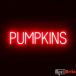 PUMPKINS sign, featuring LED lights that look like neon PUMPKIN signs