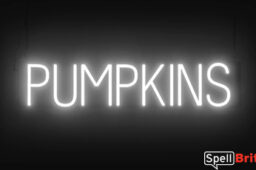PUMPKINS sign, featuring LED lights that look like neon PUMPKIN signs