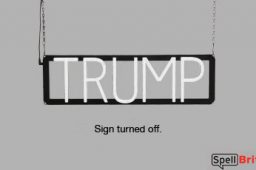 TRUMP sign, featuring LED lights that look like neon TRUMP signs