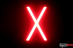 LED letter X, featuring LED lights that look like neon letters